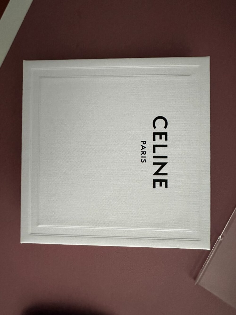 CELINE Light Blue Grained Calfskin Zip Card and Coin Pouch with hook - Picture 5 of 6